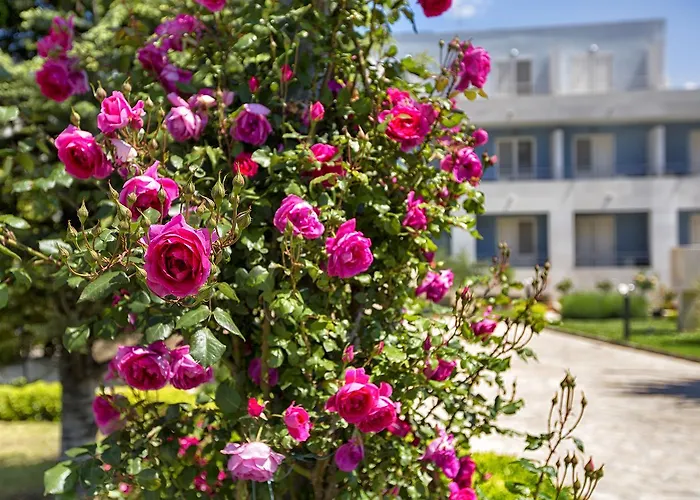 Pastura Hotel Postira